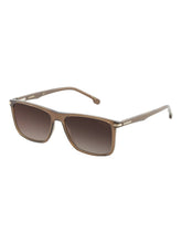 Load image into Gallery viewer, Carrera 298/S Men&#39;s Polarized Brown Phantos 57-16-145 Sunglasses MSRP $165
